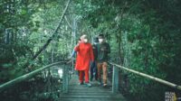 Pemprov Kepri Dukung Gerakan Pelestarian Mangrove
