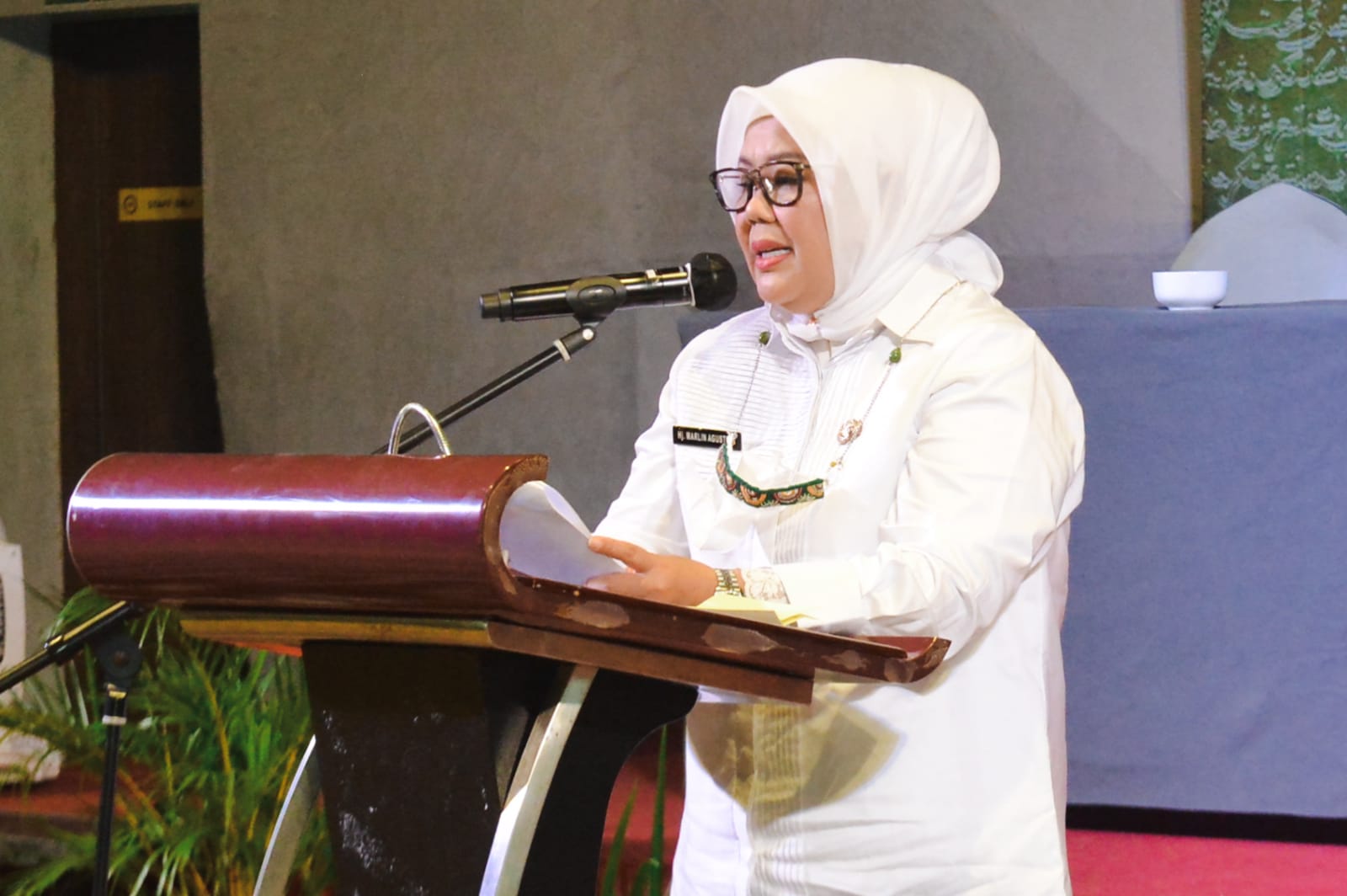 Wagub Marlin Berharap AAIPI Ikut Kawal Pembangunan di Kepri