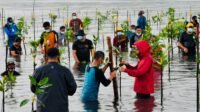 Presiden Tekankan Pentingnya Pelihara Hutan Mangrove di Tanah Air