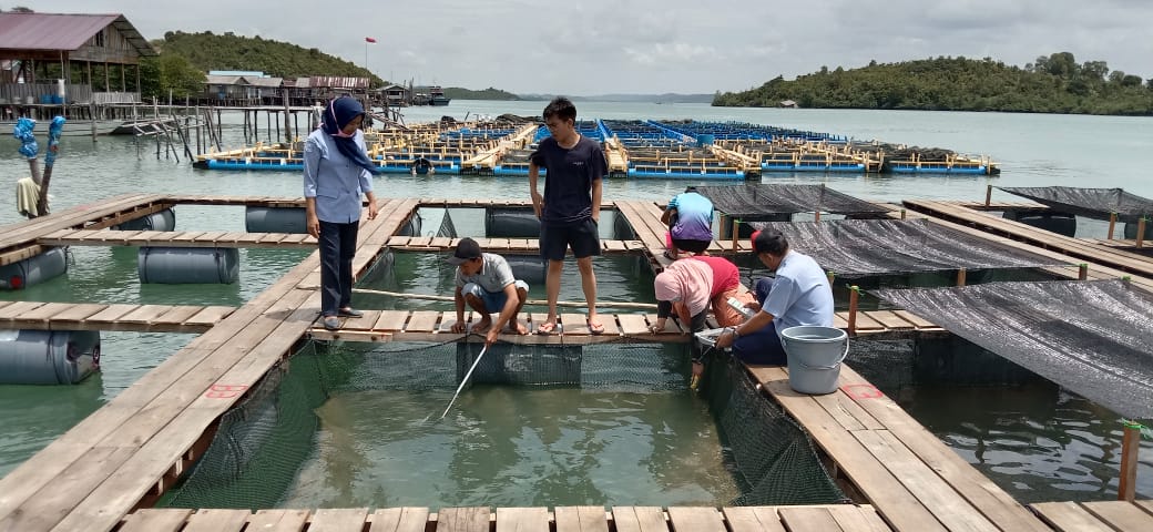Kepri Memiliki 387 Titik Potensial Pengembangan Budi Daya Kelautan