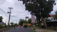 Disperkim Tanjungpinang Butuh Skylift Pemotongan Kayu Lapuk yang Bahayakan Pengguna Jalan