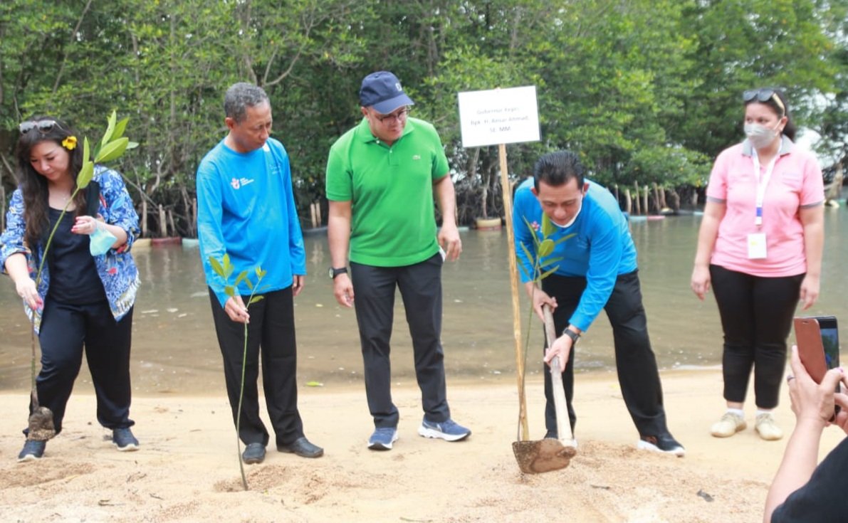 Gubernur Ansar Tanam Mangrove di Nongsa