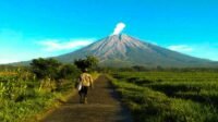 Simak Catatan Sejarah Letusan Gunung Semuru, Dimulai Sejak Tahun 1818