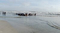 Bakamla - APMM Evakuasi 60 TKI Korban Kapal Karam di Perairan Johor