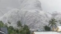 Gunung Semeru Erupsi, Semburkan Awan Panas