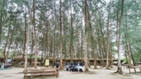 Menikmati Sejuknya Suasana Hutan Pinus di Pantai Pasir Putih Bintan Blue Coral