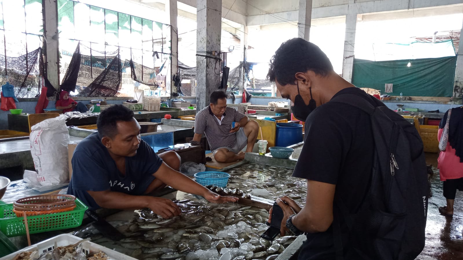 Pedagang Ikan Dingkis di Bintan Mengeluh Omset Penjualan Menurun