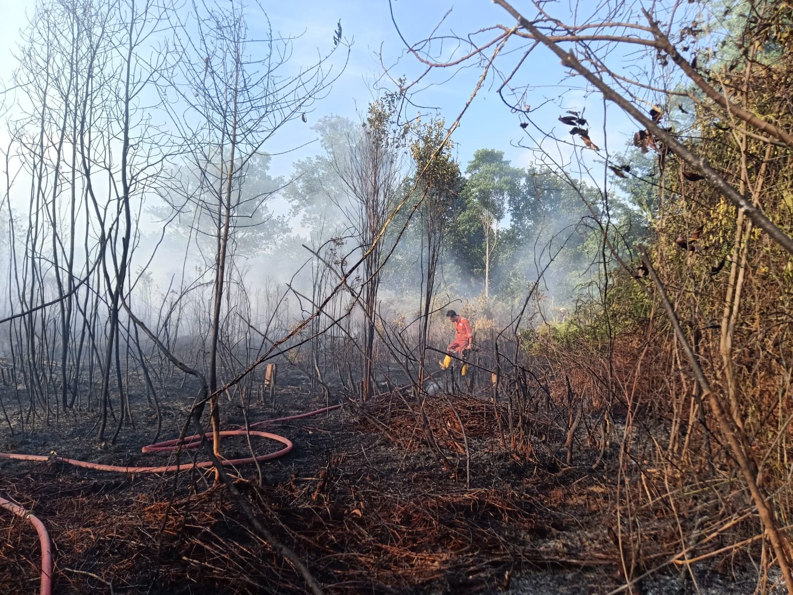 Dua Hektare Lahan di Bintan Terbakar, Petugas dan Warga Berjibau Padamkan Api