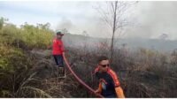 20 Hektare Lahan di Kecamatan Toapaya Terbakar