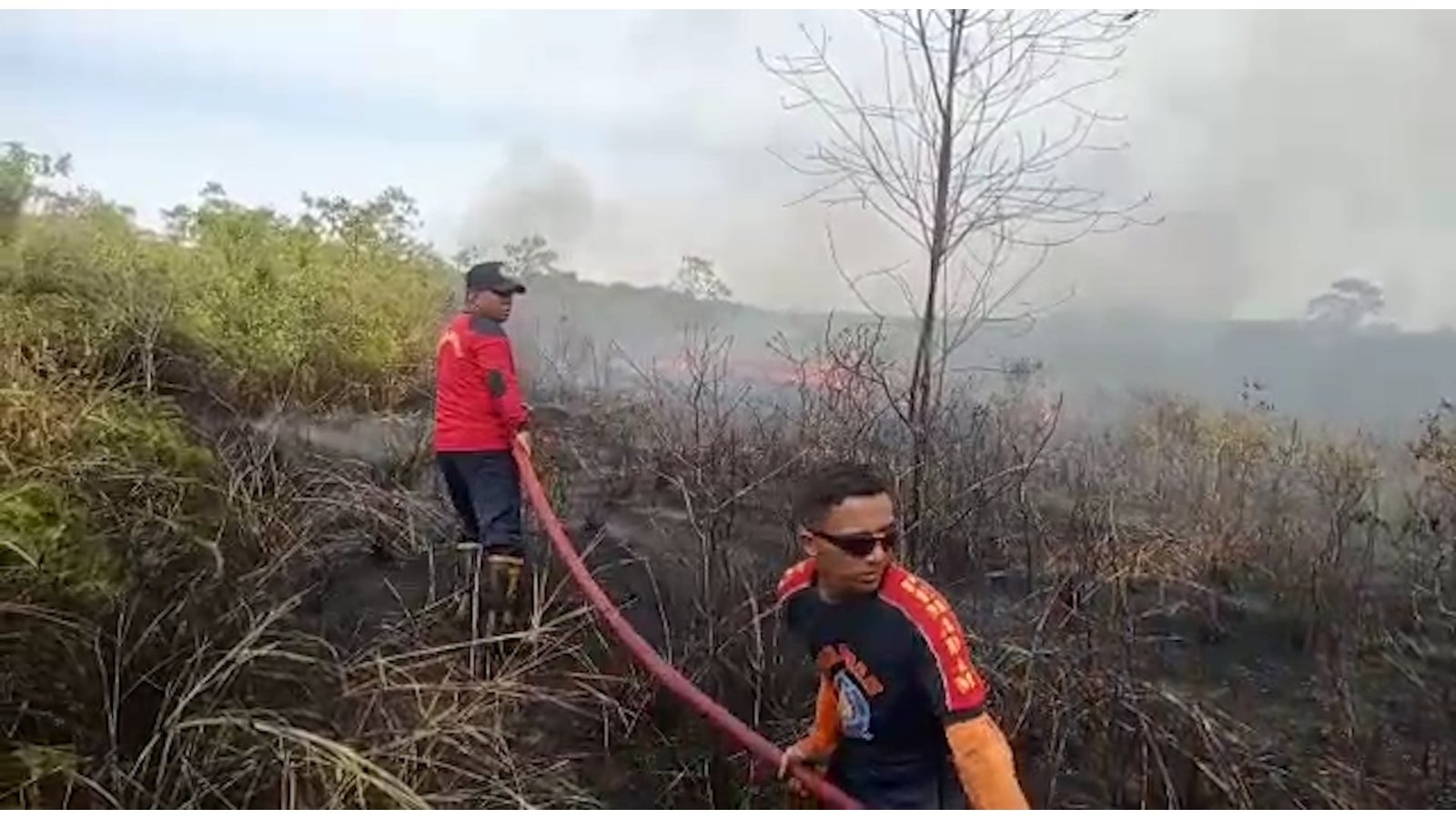 20 Hektare Lahan di Kecamatan Toapaya Terbakar