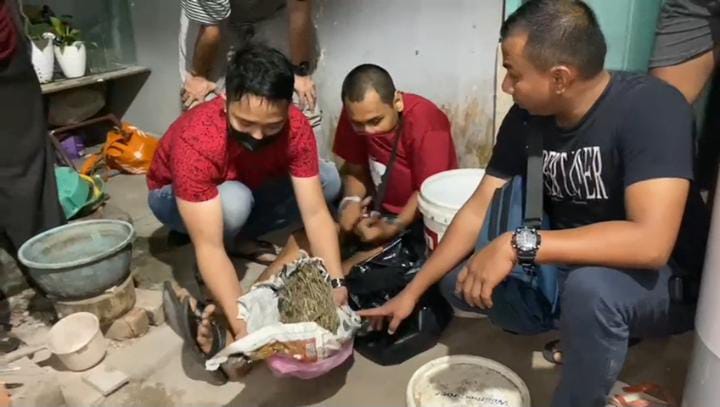 Oknum Honorer Disnaker Tanjungpinang Kedapatan Simpan Paket Besar Berisi Ganja