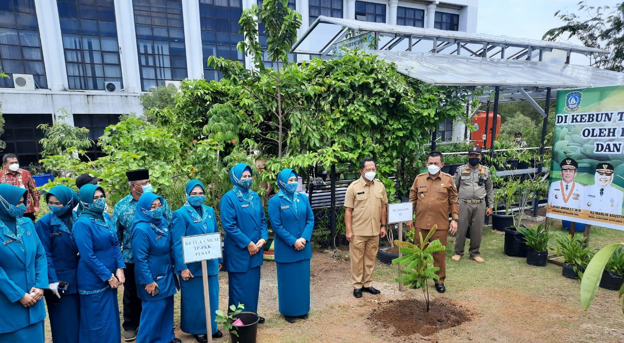 Mendagri Tito Karnavian dan Ketum TP-PKK Tanam Bibit Pohon di Kebun PKK Kepri