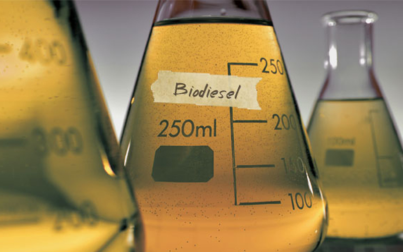 Kementerian ESDM Tetapkan Harga Pasar Biodiesel Rp14.436 Per Liter