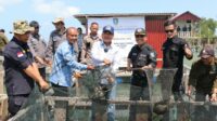 Taba Iskandar Wakili Gubernur Ansar Panen Ikan Kerapu Cantang di Pulau Akar