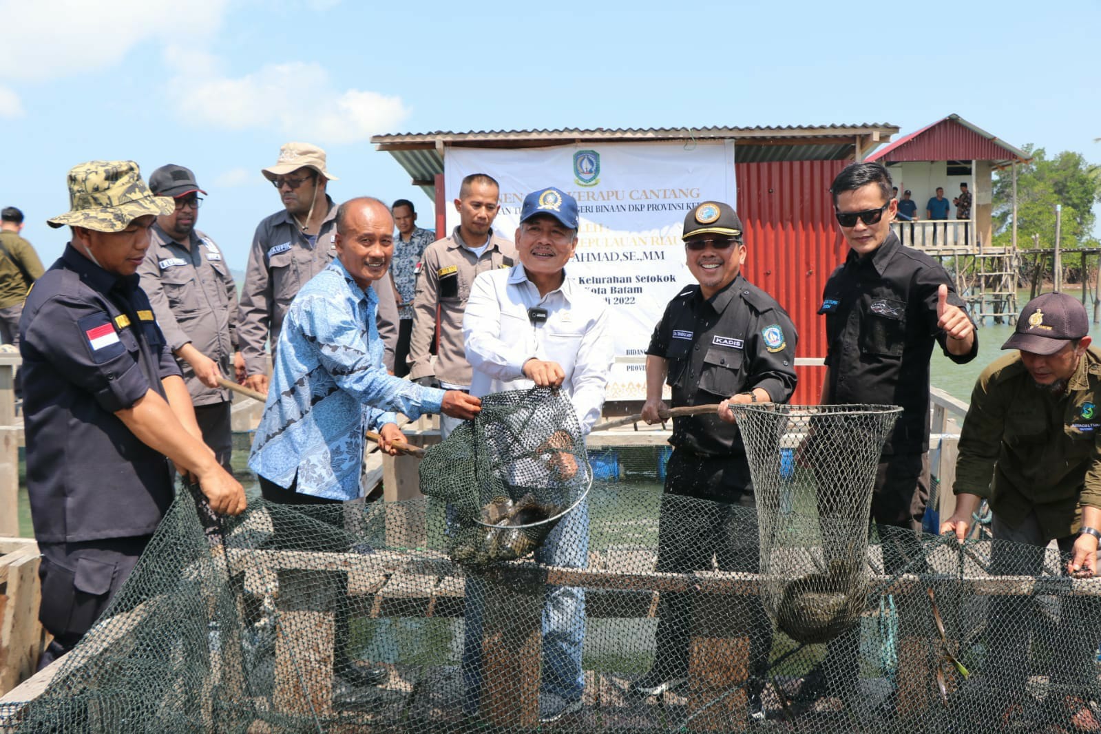 Taba Iskandar Wakili Gubernur Ansar Panen Ikan Kerapu Cantang di Pulau Akar
