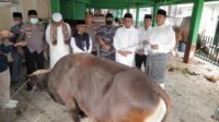 Gubernur Ansar Serahkan Sapi Kurban untuk Gerbang Utara Perbatasan NKRI