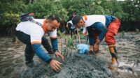 Peringati World Tourism Day, Bintan Resorts Tanam Bakau dan Bersihkan Sungai