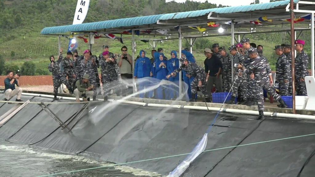 Lantamal IV Gelar Panen Raya dan Tabur Ribuan Benih Udang Vaname di Desa Tanjung Kertang, Barelang, Kota Batam. (Foto Bentan)
