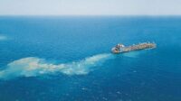 Soal Ekspor Pasir Laut, Greenpeace: Greenwashing Ala Pemerintah
