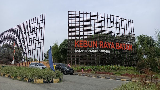 Melihat Keindahan Tumbuhan Tropis di Kebun Raya Batam