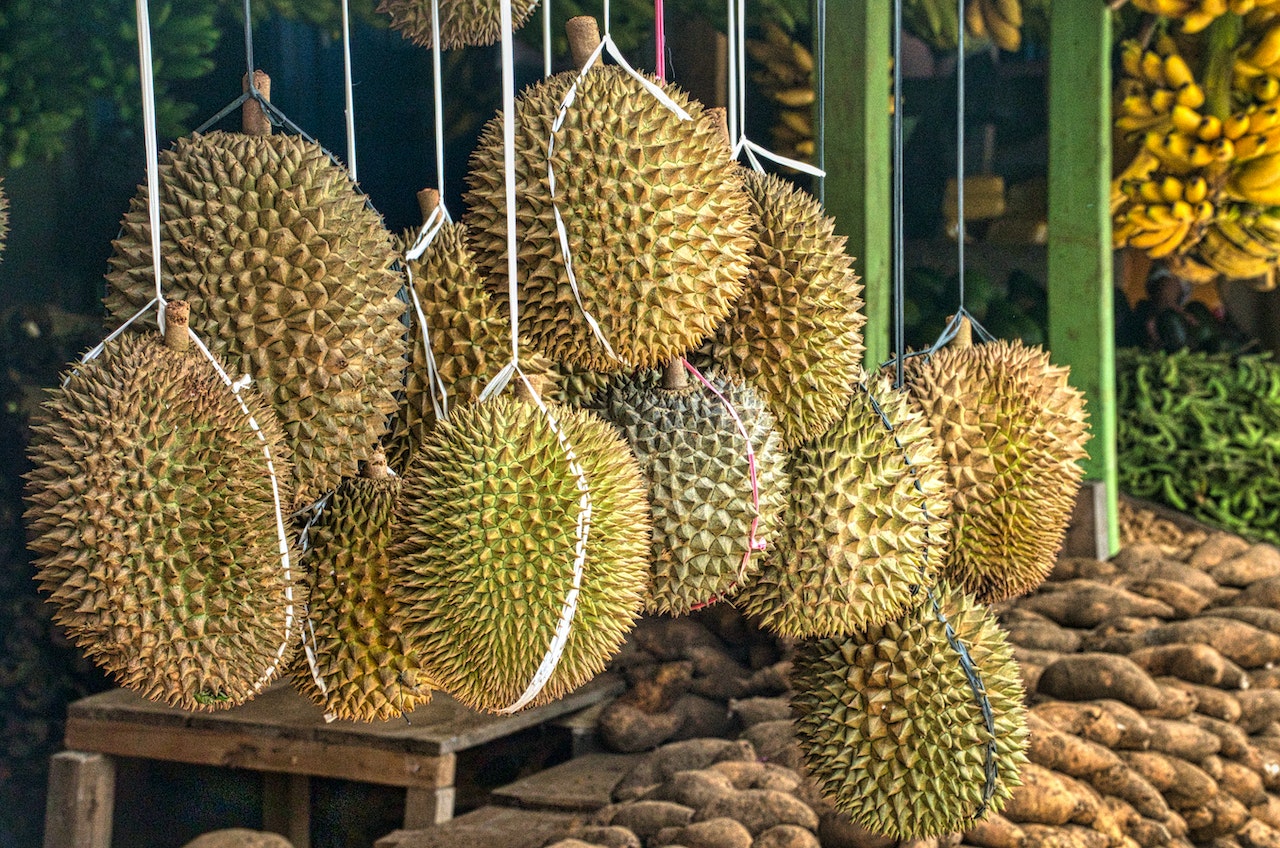 Buah Durian: Kenikmatan yang Sehat dan Bergizi