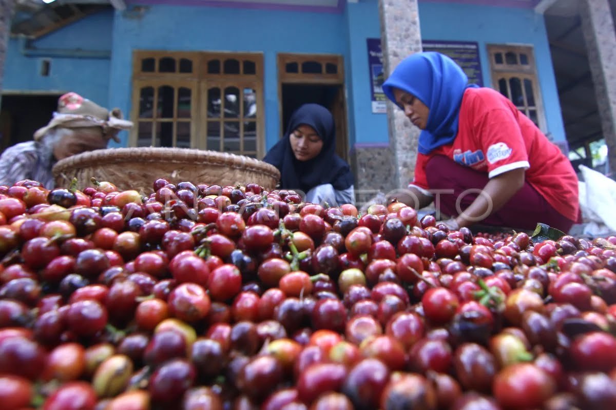 Ngopi Sepuluh Ewu, Aroma Kopi dan Persaudaraan yang Menghangatkan