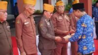 Wabup Bintan Pimpin Upacara Peringatan Hari Pahlawan.