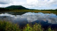 Gunung Bintan, Menikmati Pesona Alam Bintan yang Eksotis