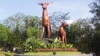 Taman Rusa Sekupang, Wisata Alam Asri di Batam