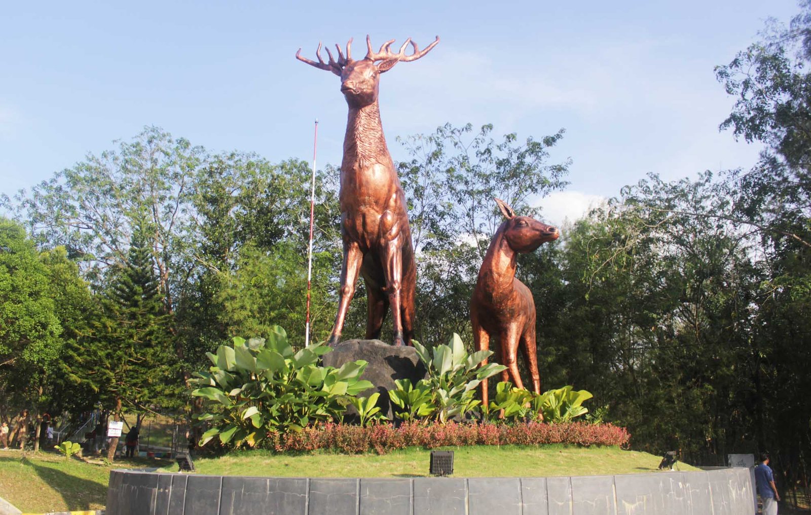 Taman Rusa Sekupang, Wisata Alam Asri di Batam