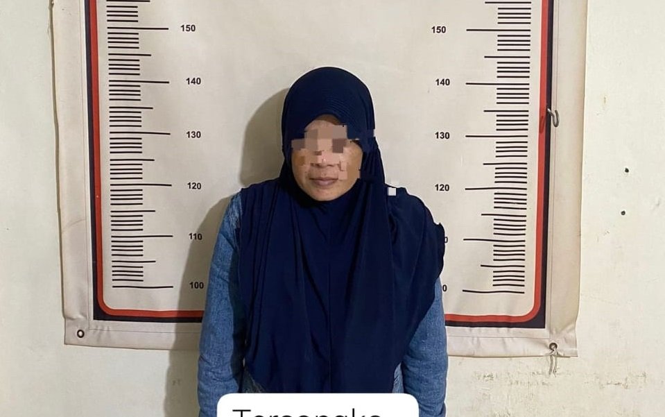 Tipu Tetangganya Hingga Ratusan Juta, Seorang IRT di Batam Ditangkap Polisi.