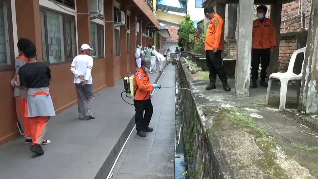 Hama Ulat Bulu Serang Tanaman dan Setiap Sudut Lingkungan Sekolah SMPN 1 Tanjungpinang.