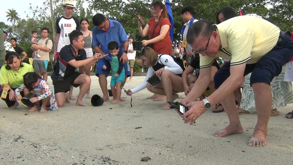 Wisatawan Asing Antusias Ikuti Pelepasan Ratusan Tukik di Pantai Nirwana Gardens Bintan.