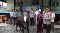 Kapolresta Tanjungpinang Serahkan Sapi Kurban Idul Adha 1445 H Kepada Masjid dan Ponpes.