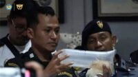 Petugas Gabungan Gagalkan Penyelundupan Benih Lobster di Kepri, Potensi Rugikan Negara Rp 43 M