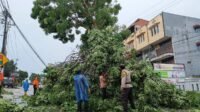 Pohon di Jalan Engku Putri Tumbang dan Timpa Pemotor Wanita.