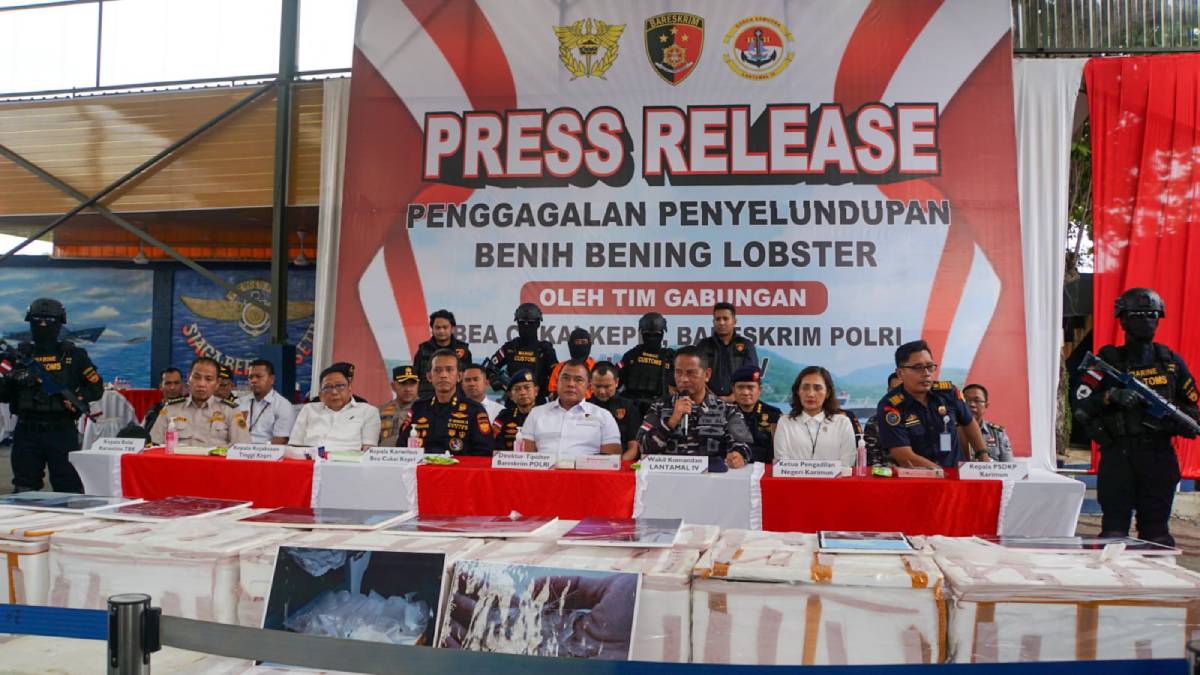 Tim Satgas Gabungan Gagalkan Pengiriman 28 Box Benih Bening Lobster ke Luar Negeri.