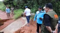 Tiga Jembatan di Desa Toapaya Utara Putus Diterjang Banjir.