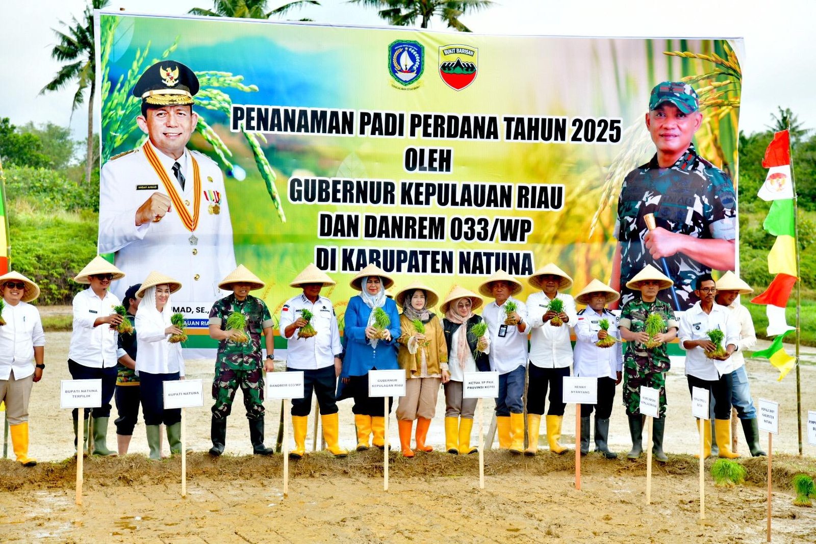 Dukung Swasembada Pangan, Kepri Kembangkan 60 Hektare Lahan Pertanian