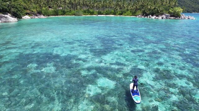 Tragedi di Kepri Coral: Turis China Meninggal Saat Snorkeling, Ini Kronologinya