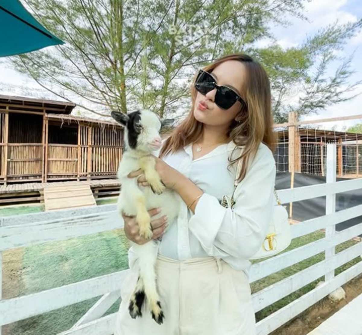 Batam Zoo Paradise, Destinasi Wisata Edukatif dan Ramah Anak, Tiketnya Cuma Segini