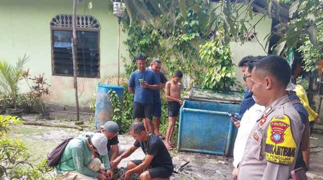 Demi Keselamatan, Buaya Peliharaan Warga Bintan Akhirnya Dievakuasi ke Safari Lagoi