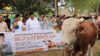 Presiden Prabowo Kurban Sapi Super di Bintan, Bupati Roby: Terima Kasih untuk Kepedulian Ini