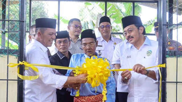 Kepri Terang, Gubernur Ansar Resmikan Listrik di Pulau Bahan, Karimun