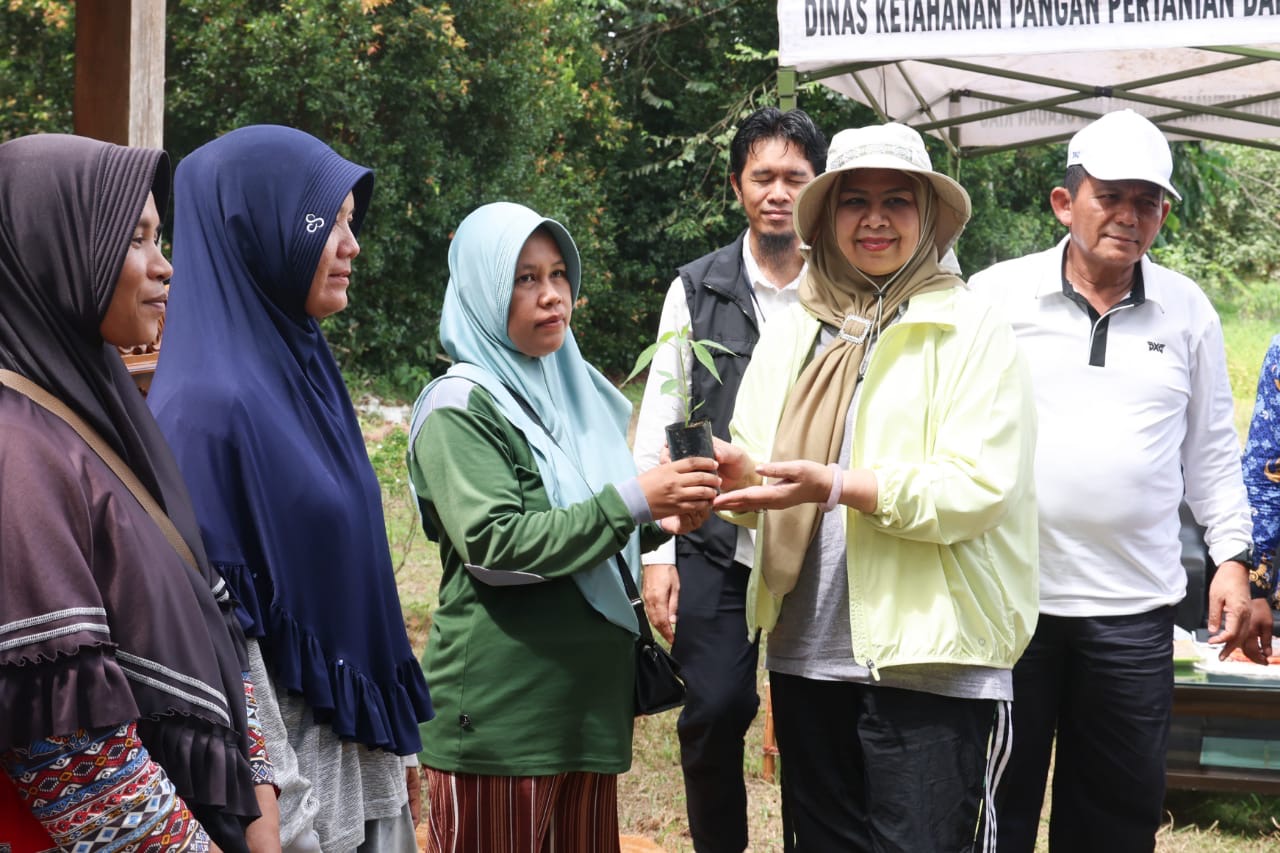 45.000 Bibit Cabai Dibagikan, Pemprov Kepri Ajak Warga Tanam di Pekarangan