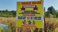 Warga Tanjungpinang Dihebohkan Sayembara Tangkap Maling Berhadiah Hingga Rp 2 Juta