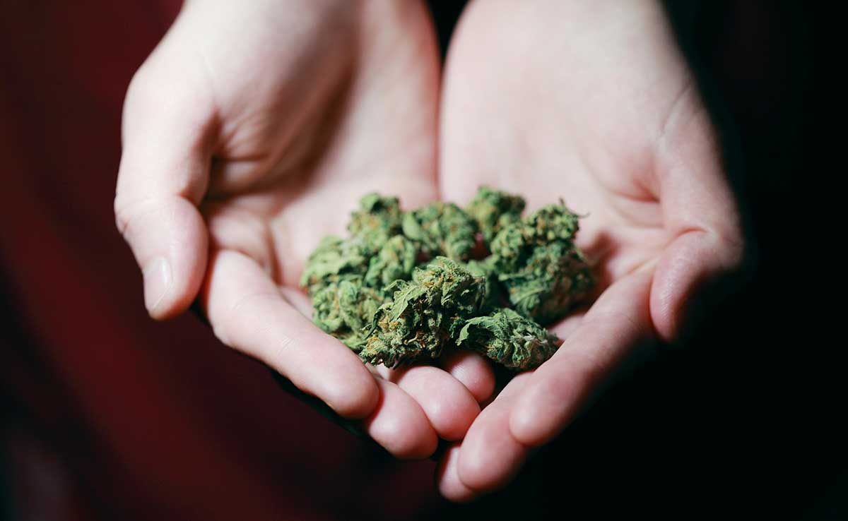Modus Baru Kirim Ganja Lewat Jasa Ekspedisi, Dua Orang Ditangkap