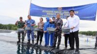 Bupati Roby Tabur Benih Udang Vaname di Tambak Lanal Bintan, Panen Ditargetkan 4,2 Ton