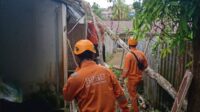 Diterjang Angin Kencang Enam Pohon Tumbang dan Satu Rumah Warga Rusak di Tanjungpinang .