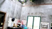 Penampakan dua rumah warga di Kecamatan Kundur Barat, Karimun yang rusak tertimpa pohon tumbang, Kamis (9/10/2025) pagi sekira pukul 09.00 WIB.